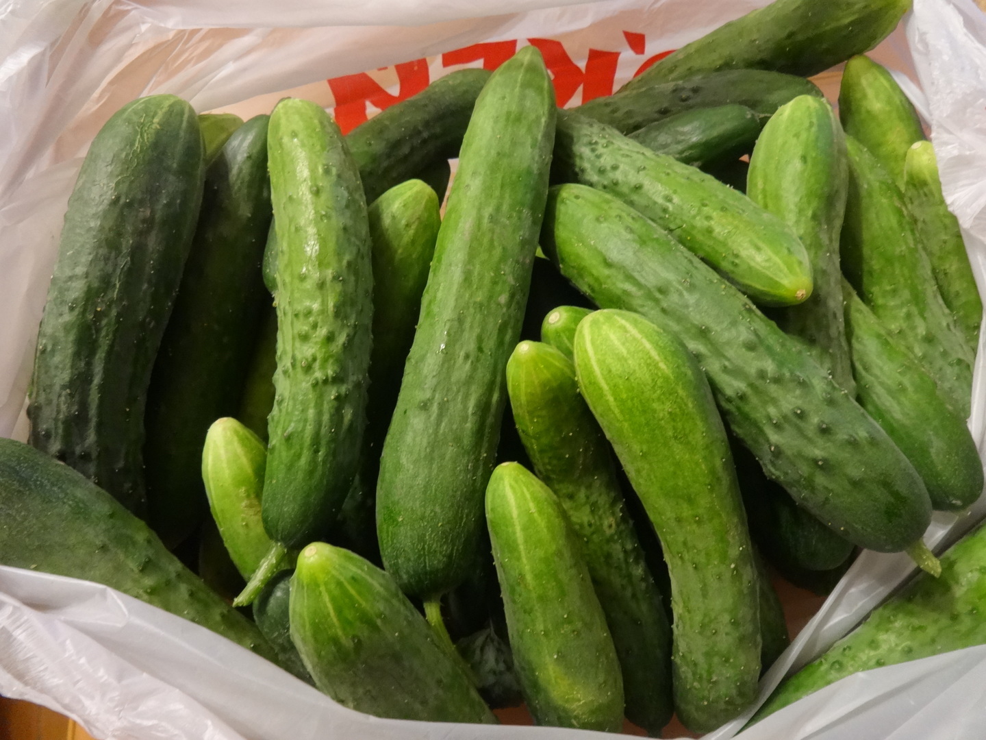 Огурцы машенька. Продам огурцы свежие. Продам огурцы свежие. Огурцы садовые. Огурцы в ящике.