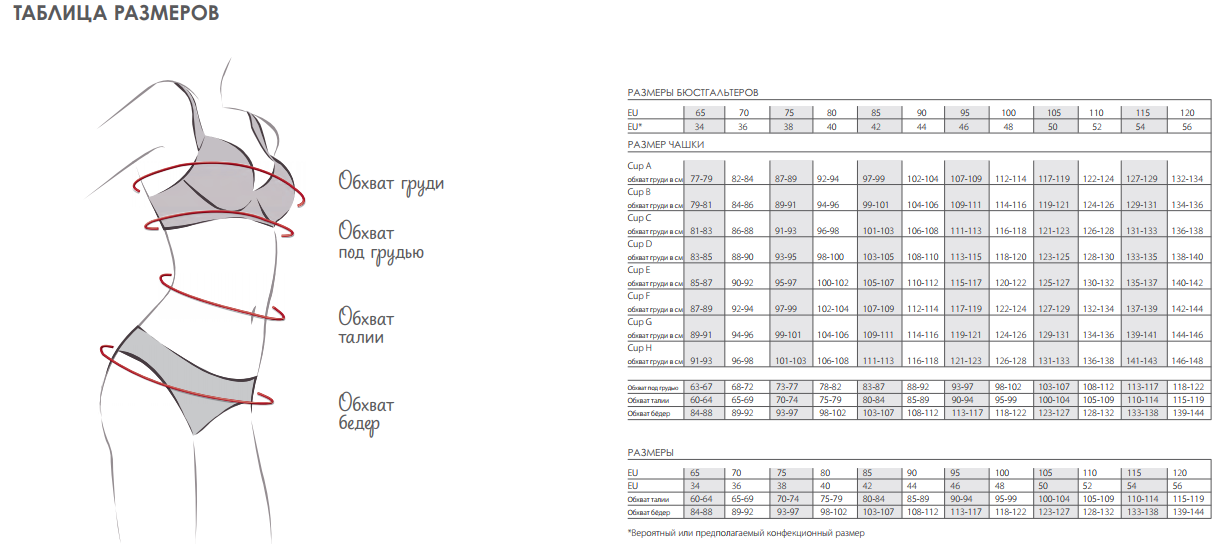 Обхват груди. Triumph Размерная сетка бюстгальтер. Triumph белье Размерная сетка. Бюстгальтер Triumph таблица размеров. Размерная сетка Триумф бюст.