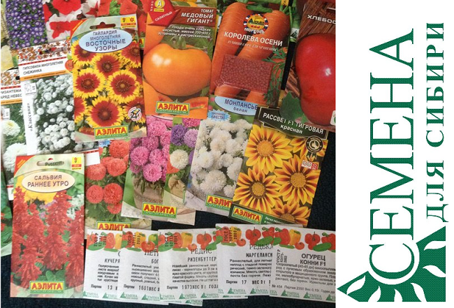 Семена сибири красноярск официальный сайт как проращивать семя конопли