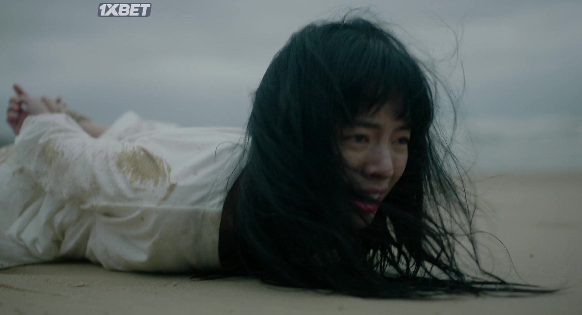 Ирис хай стейкс. Ирис лимонный. Iris 2021. Ирисы карликовые в горшках. Платья от iris van herpen.