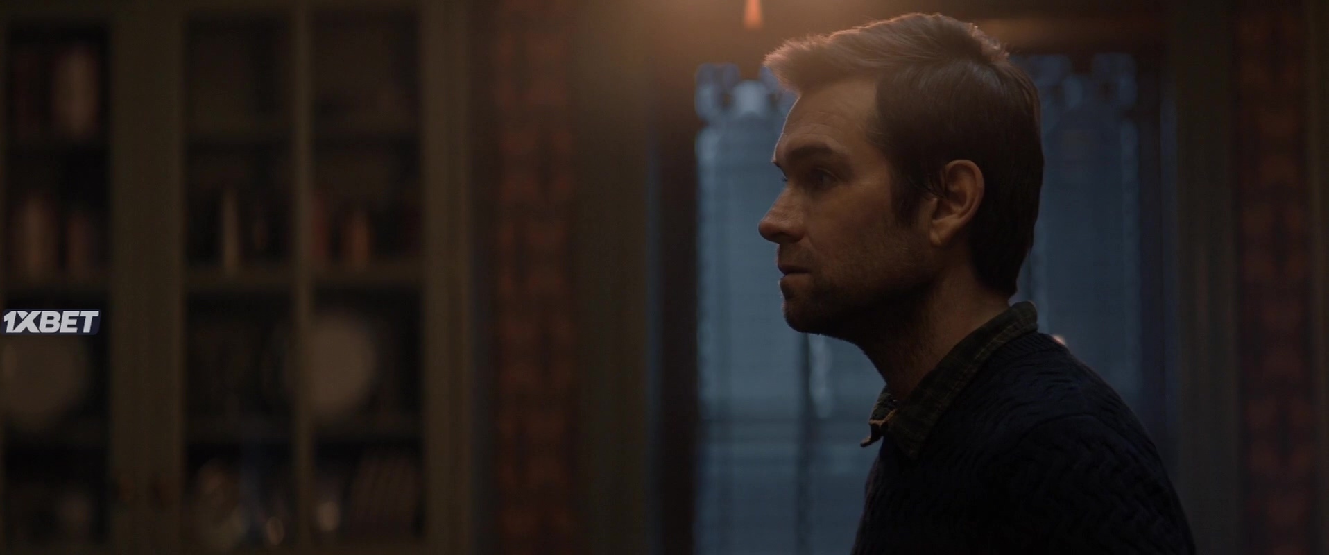 Паутинка для чтения. Паутина 2023. Паутина. Книга в паутине. Паутина на закате.