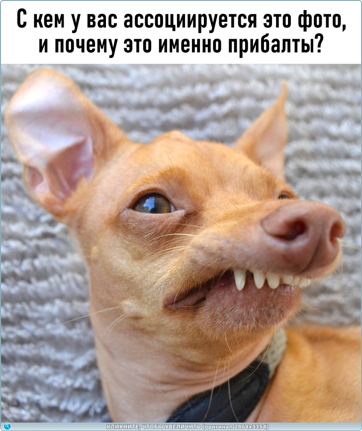https://picabox.ru/pictures/2025/04/12/23/46/1629515980.jpg