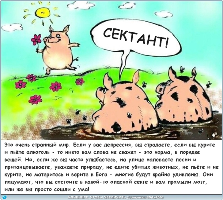 https://picabox.ru/pictures/2025/04/28/01/23/1632996574.jpg