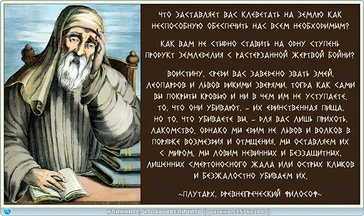 https://picabox.ru/pictures/2025/05/13/20/40/1636292932.jpg