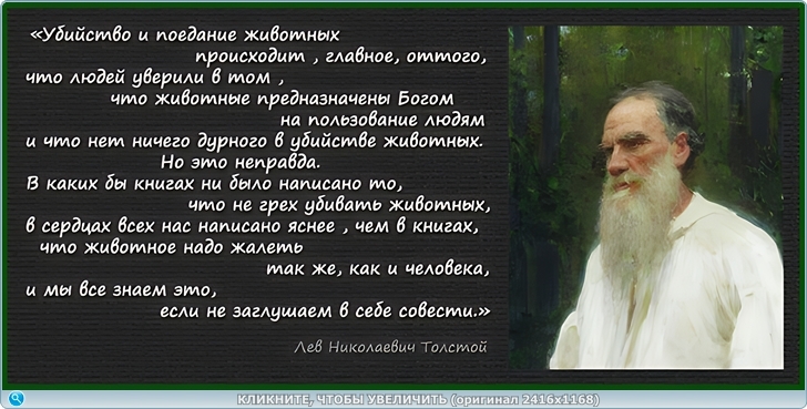 https://picabox.ru/pictures/2025/05/16/23/39/1637621857.jpg