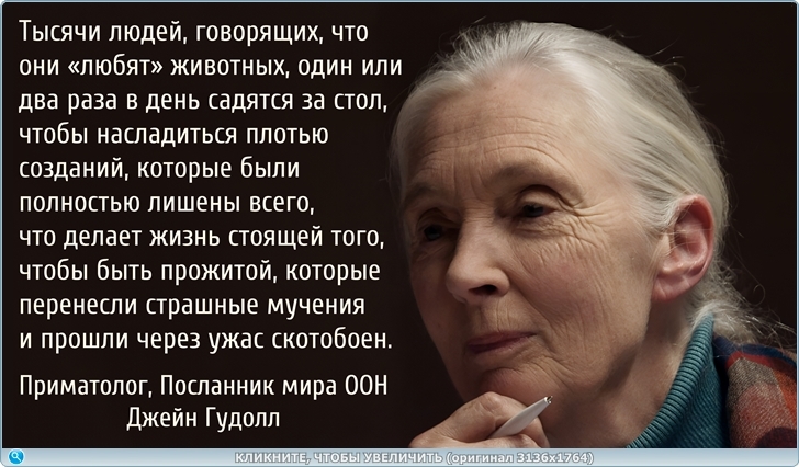 https://picabox.ru/pictures/2025/05/22/07/04/1638315121.jpg