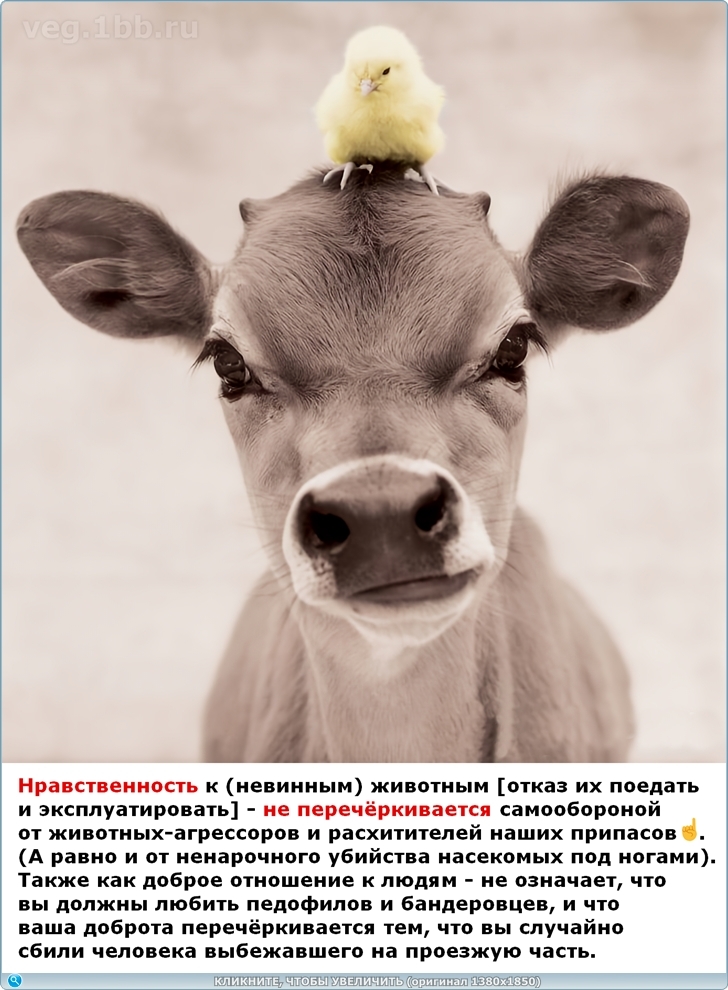 https://picabox.ru/pictures/2025/06/07/12/59/1640927458.jpg