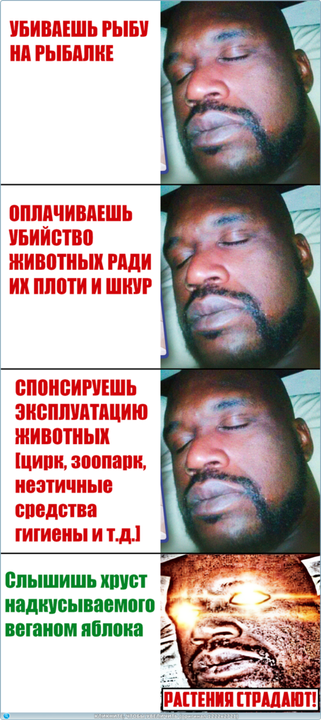 https://picabox.ru/pictures/2025/06/08/14/10/1640937832.png