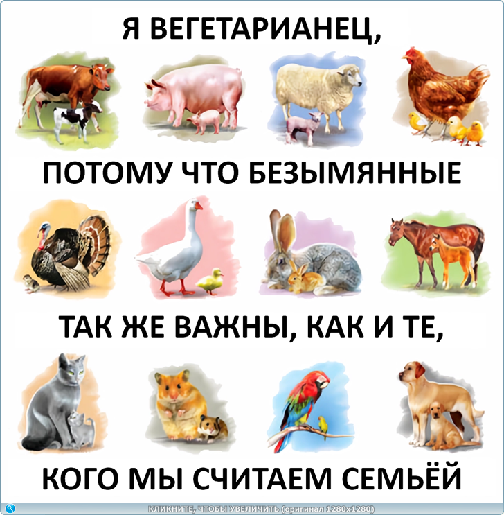 https://picabox.ru/pictures/2025/09/10/01/07/1662085270.png