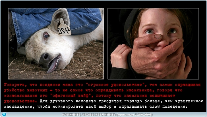 https://picabox.ru/pictures/2026/03/24/16/05/1711381543.jpg