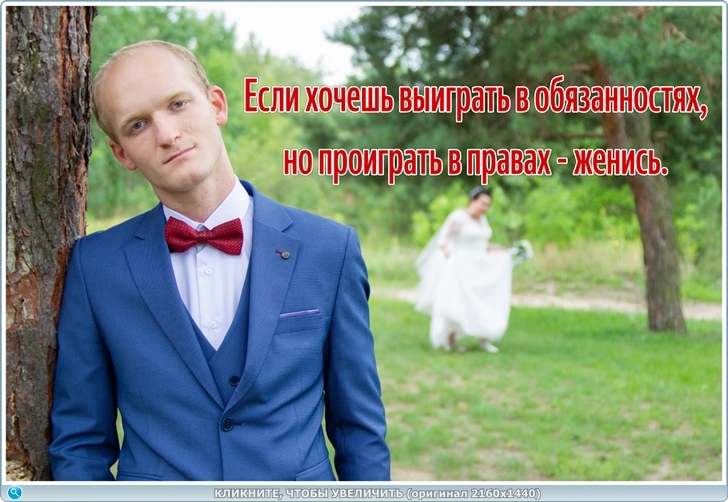 https://picabox.ru/pictures/2026/03/31/00/29/1712000044.jpg