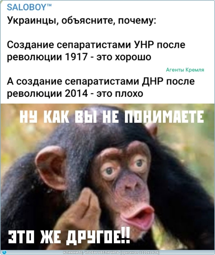 https://picabox.ru/pictures/2026/04/11/03/07/1714548967.jpg