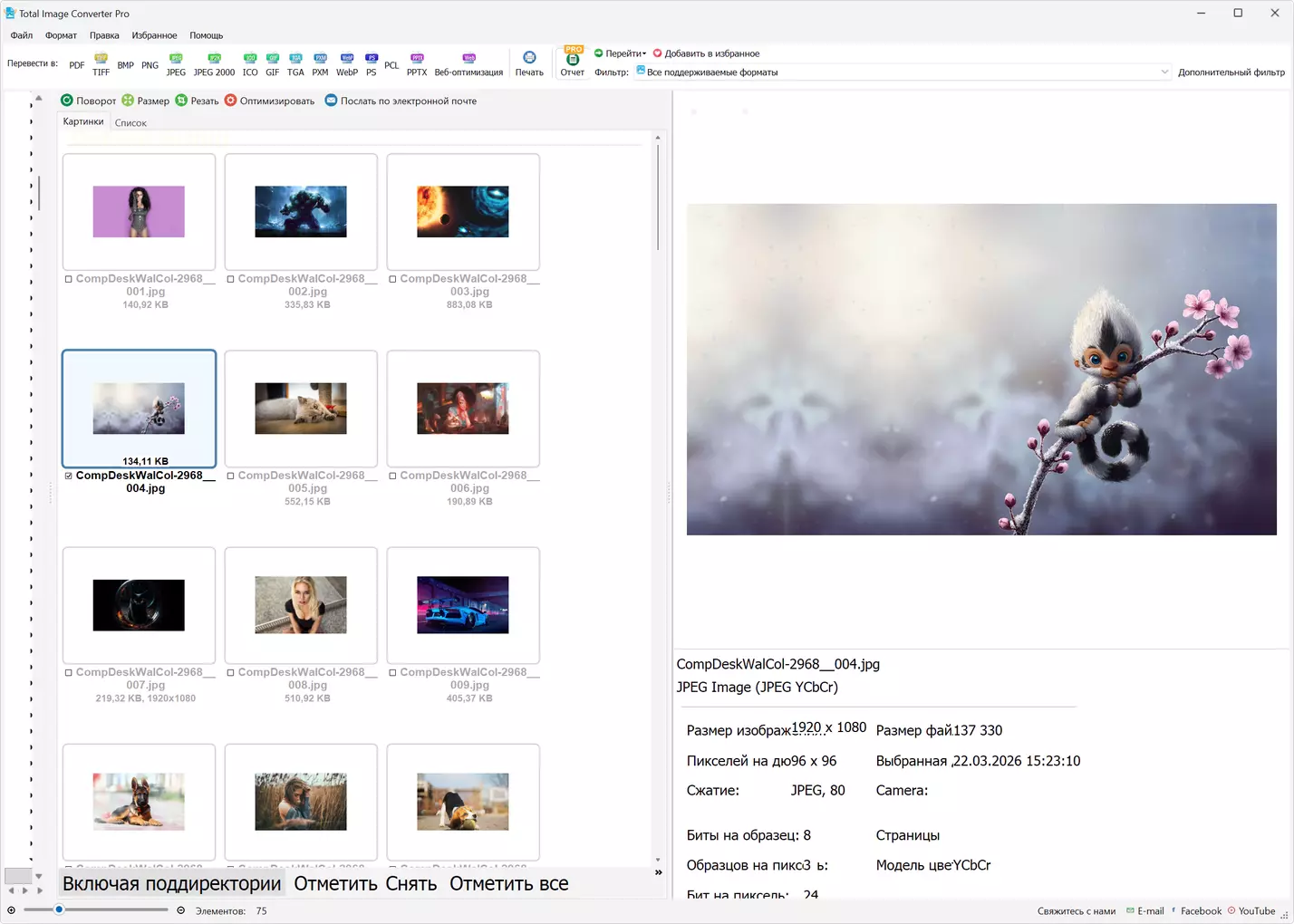 Клик для увеличения
